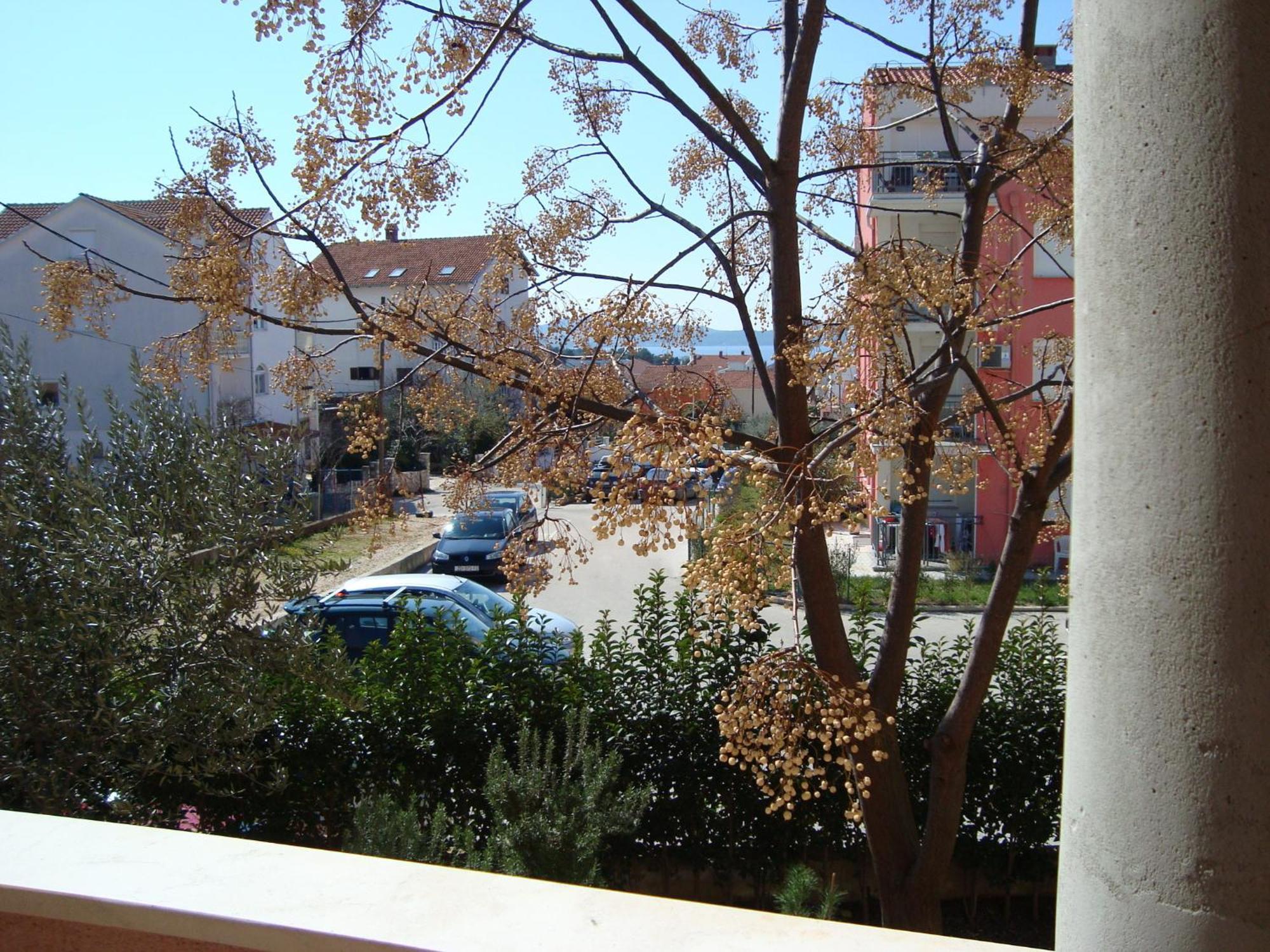 Apartments Eja Zadar Exterior photo